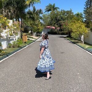 Blue Floral Print Puff Sleeve Dress
